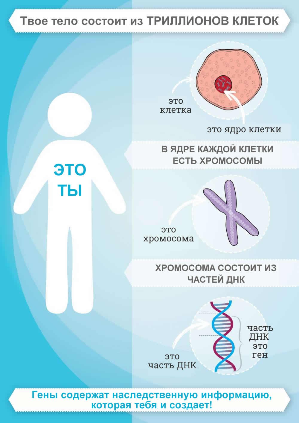 Infografika